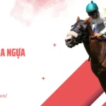 Cá Cược Đua Ngựa 2026 - Kịch Tính Cao Trong Từng Đường Đua